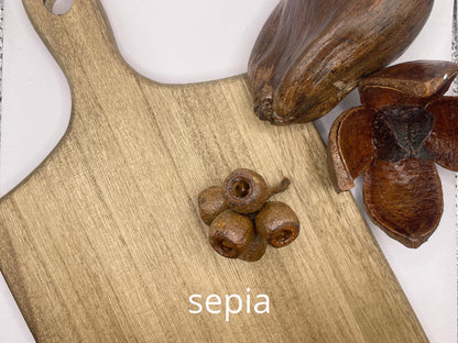 Pureco Stain & Glaze | Sepia