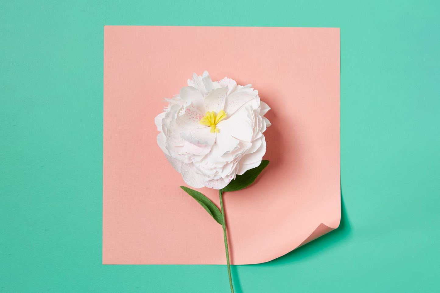 Journey Of Something | Paper Flower Making Kit