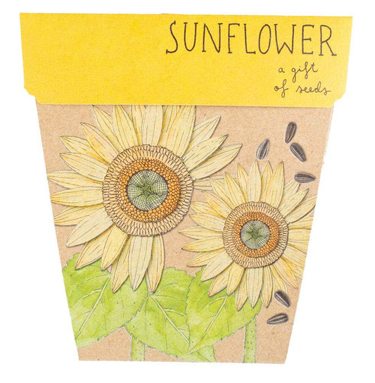 Sow 'n Sow | Sunflower Gift of Seeds