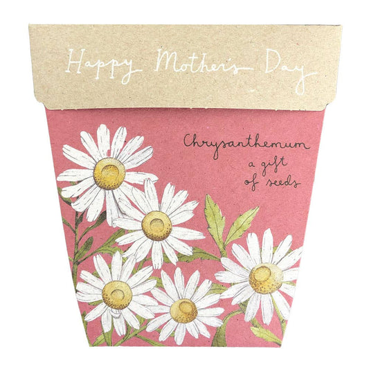 Sow 'n Sow | Chrysanthemum Mother's Day Gift of Seeds