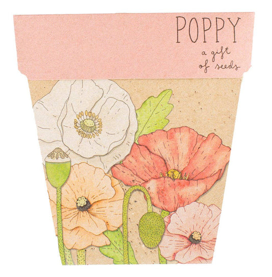Sow 'n Sow | Poppy Gift of Seeds